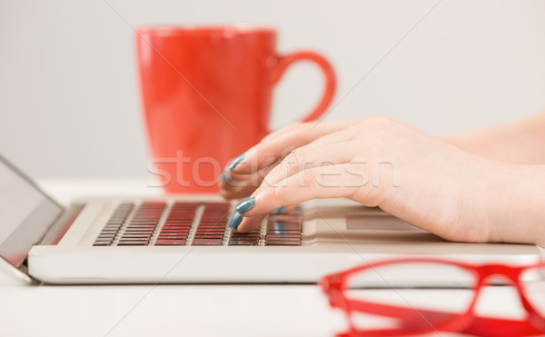 Female hands typing on laptop Stock photo © wavebreak_media