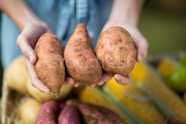 Bild Frau halten süß Kartoffeln Landwirt Stock foto © wavebreak_media