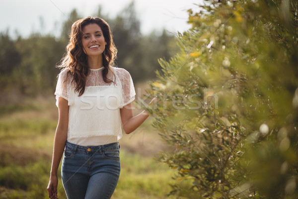 Foto stock: Belo · mulher · jovem · em · pé · árvores · oliva · fazenda