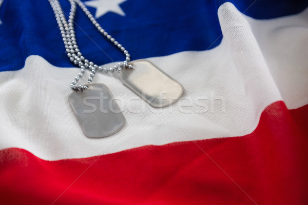 Perro etiqueta cadena bandera de Estados Unidos primer plano moda Foto stock © wavebreak_media