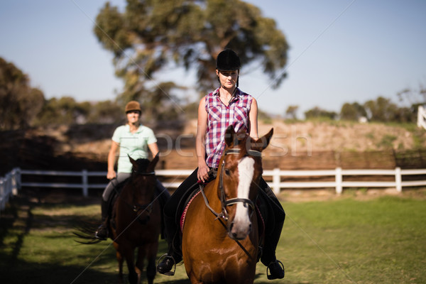Females horseback riding on field Stock photo © wavebreak_media