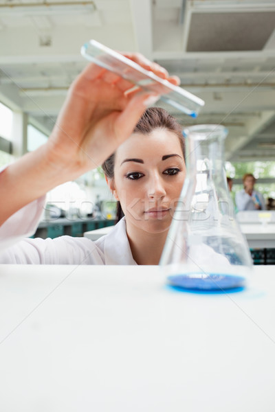 Portrait of a focused science student pouring liquid in a laboratory Stock photo © wavebreak_media