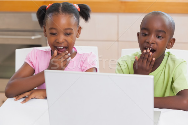 Suprised siblings looking at laptop Stock photo © wavebreak_media