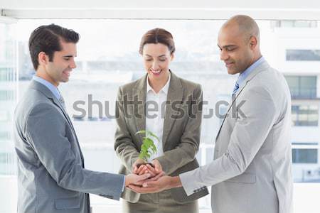 Pessoas de negócios argumento escritório mulher equipe falante Foto stock © wavebreak_media