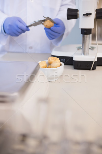 Scientifique pommes de terre laboratoire laboratoire microscope [[stock_photo]] © wavebreak_media