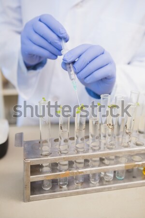 Scientist doing experimentations in plants  Stock photo © wavebreak_media