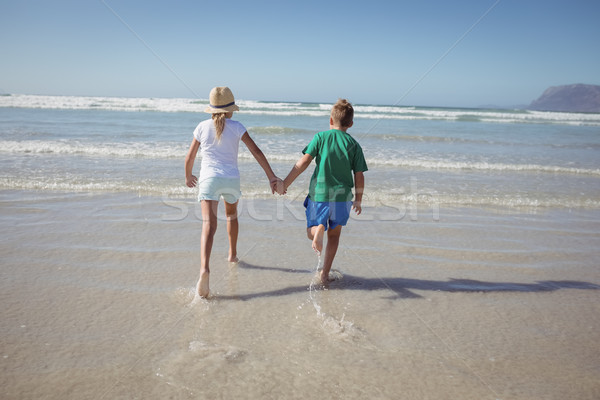 Achteraanzicht broers en zussen holding handen lopen wal strand Stockfoto © wavebreak_media