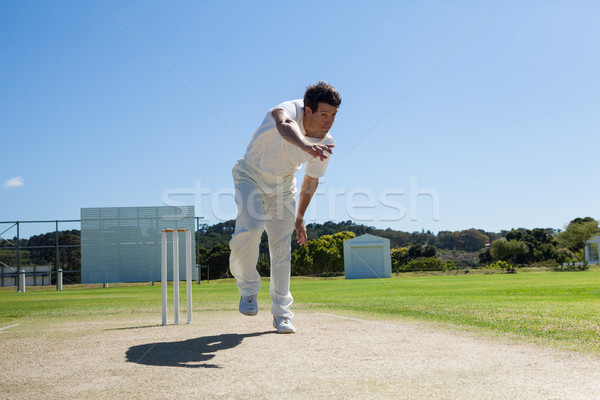 Stock photo: Bowler delivering ball during cricket match
