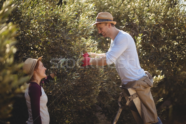 Young man looking at woman while plucking olives Stock photo © wavebreak_media