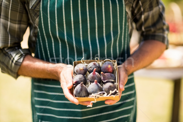 Mid section of farmer holding box of fig Stock photo © wavebreak_media
