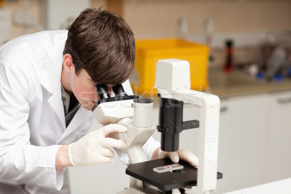 Stockfoto: Wetenschap · student · naar · microscoop · laboratorium