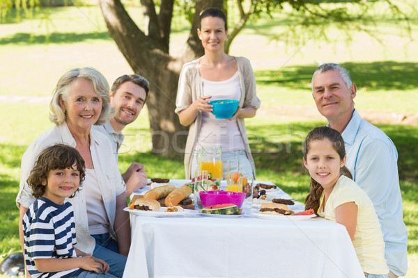 Foto d'archivio: Famiglia · allargata · pranzo · prato · ritratto · donna · famiglia