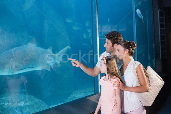 Szczęśliwą rodzinę patrząc ryb zbiornika akwarium miłości Zdjęcia stock © wavebreak_media