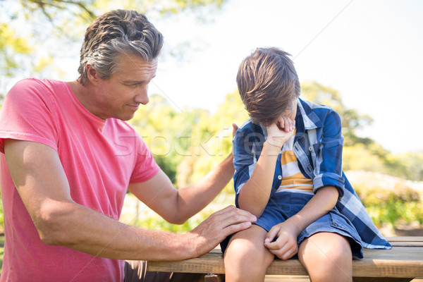 Stock photo: Father consoling his son at picnic in park