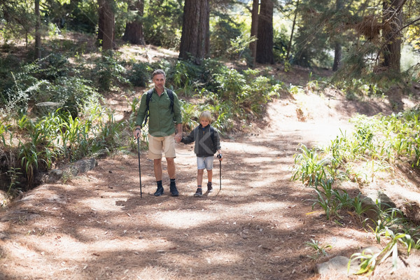 Père en fils randonnée forêt homme [[stock_photo]] © wavebreak_media