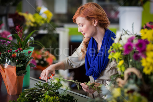 Foto stock: Femenino · florista · flor · tallo · negocios