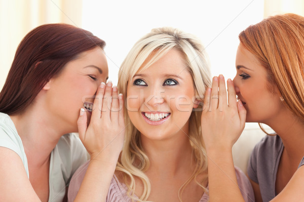 Mulher jovem dois segredos tempo sala de estar sorrir Foto stock © wavebreak_media