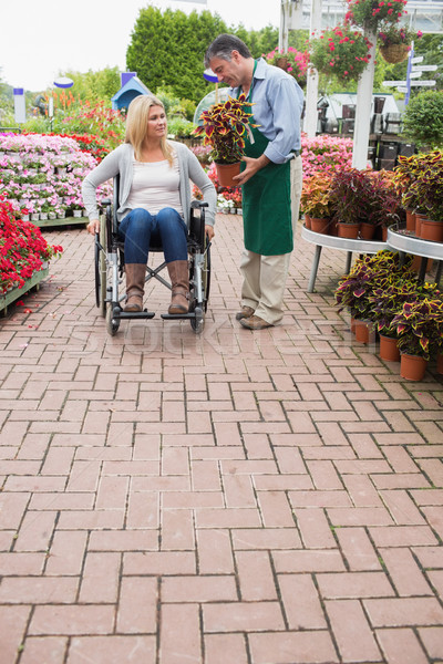 Woman in wheelchair buying potted plant in the garden centre Stock photo © wavebreak_media