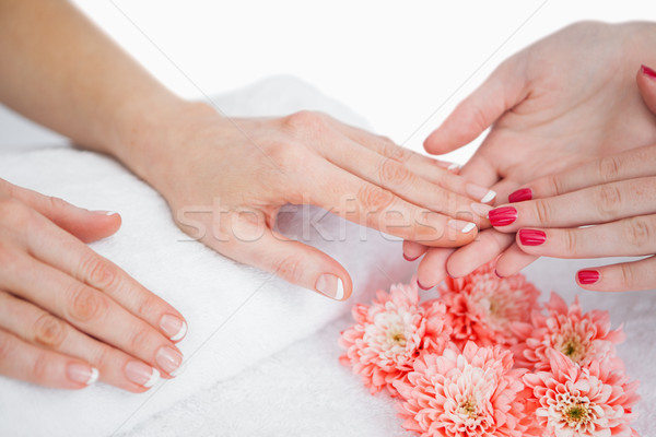 Foto d'archivio: Primo · piano · donna · manicure · mani · care