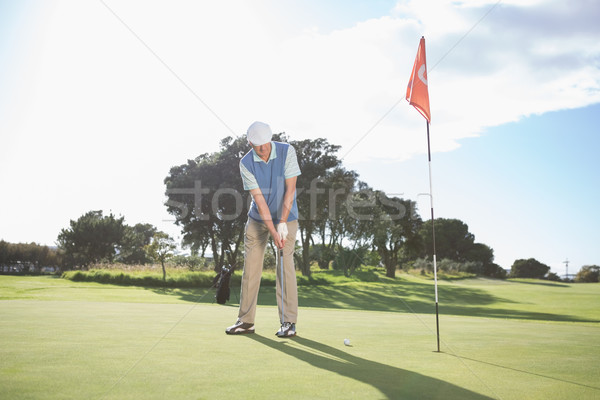 Golfista palla verde campo da golf sport Foto d'archivio © wavebreak_media