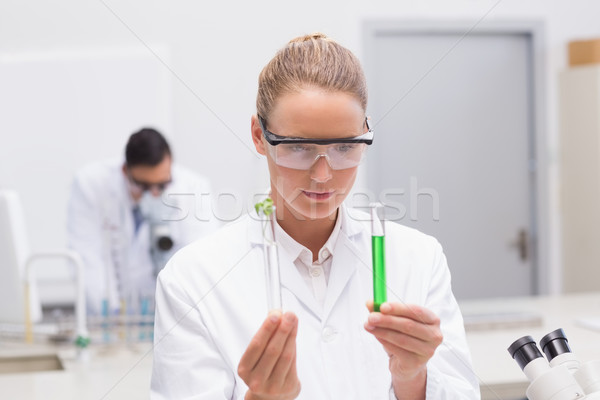Stockfoto: Wetenschapper · onderzoeken · laboratorium · vrouw · technologie