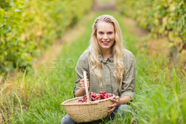 Blonde winegrower holding a red grapes basket  Stock photo © wavebreak_media
