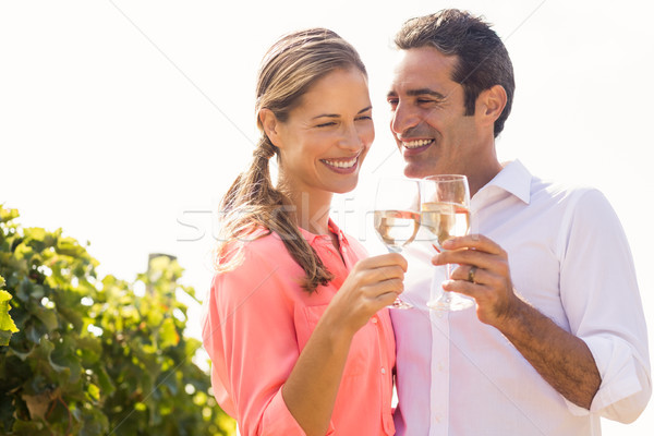 Glücklich Paar Toasten Gläser Wein Weinberg Stock foto © wavebreak_media