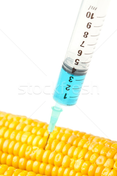 Jeringa maíz blanco medicina azul ciencia Foto stock © wavebreak_media