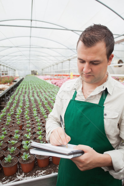 Greenhouse worker taking notes in seedlings in nursery Stock photo © wavebreak_media
