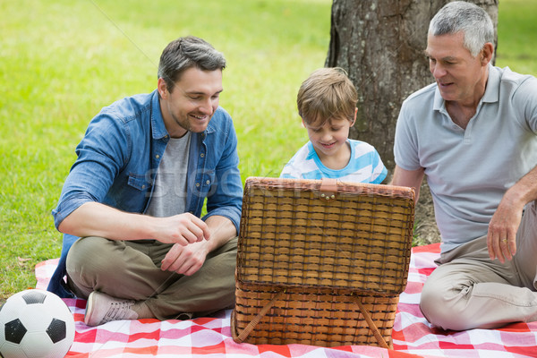 Abuelo hijo de padre cesta de picnic parque sesión familia Foto stock © wavebreak_media