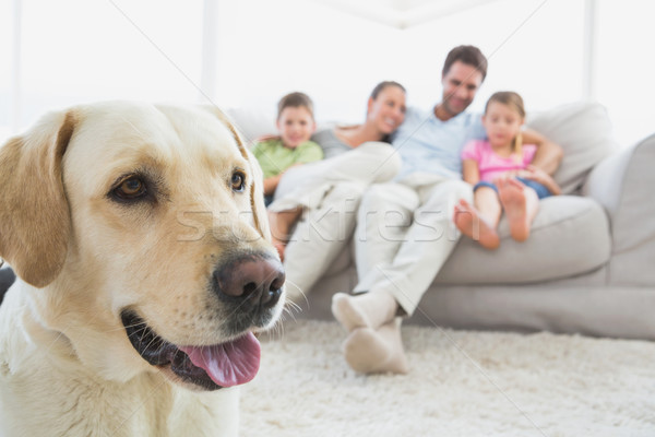 Gelukkig gezin vergadering bank huisdier labrador voorgrond Stockfoto © wavebreak_media