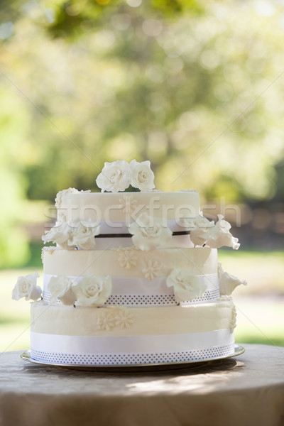 Wedding cake on table at park Stock photo © wavebreak_media