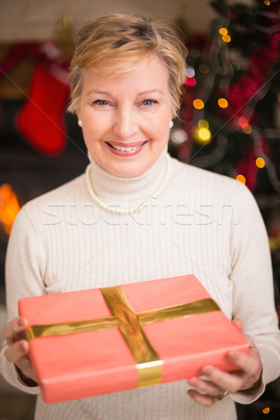 Sorridente idosos ativos dom natal casa Foto stock © wavebreak_media