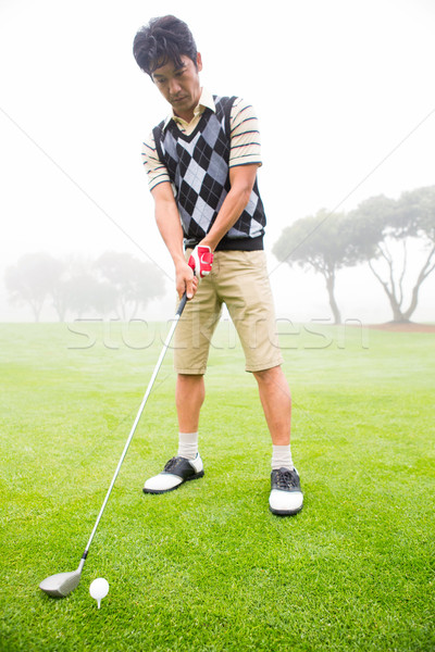 Stockfoto: Golfer · omhoog · shot · golfbaan · golf · groene