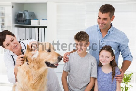 Smiling vet examining a dog with its owners Stock photo © wavebreak_media