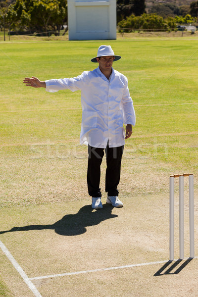 Full length of cricket umpire signalling no ball during match Stock photo © wavebreak_media