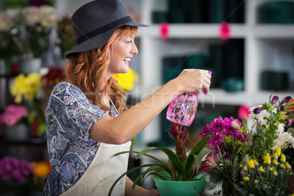 Florists spraying water on flowers in flower shop Stock photo © wavebreak_media