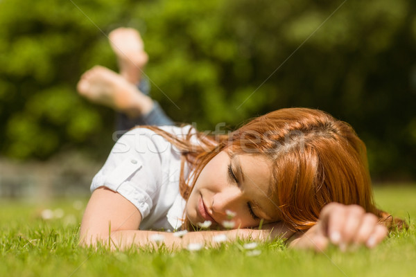 Pretty redhead napping on grass Stock photo © wavebreak_media