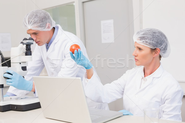 Tomate laboratoire femme portable [[stock_photo]] © wavebreak_media