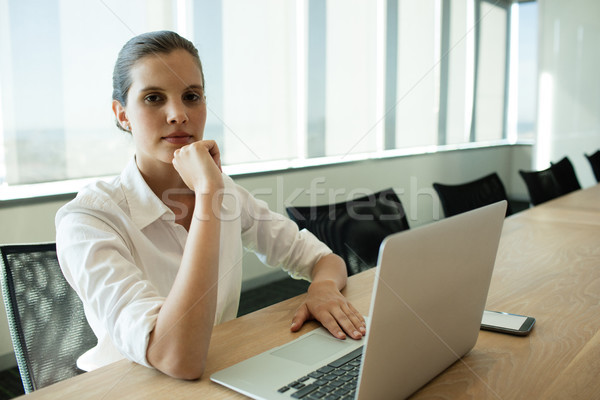 Femme d'affaires utilisant un ordinateur portable salle de conférence portrait affaires ordinateur [[stock_photo]] © wavebreak_media