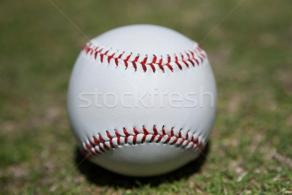 Close-up of baseball Stock photo © wavebreak_media
