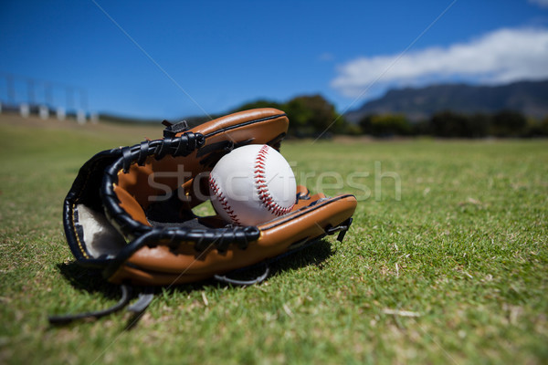 Close-up of baseball and glove Stock photo © wavebreak_media