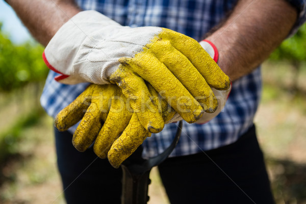 Постоянный лопатой виноградник природы фермы Сток-фото © wavebreak_media