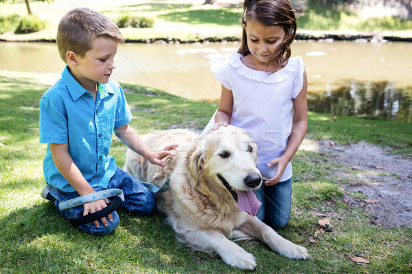 Siblings patting their pet dog in the park Stock photo © wavebreak_media