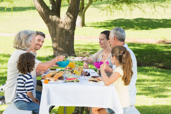 Stockfoto: Uitgebreide · familie · lunch · gazon · zijaanzicht · vrouw · familie