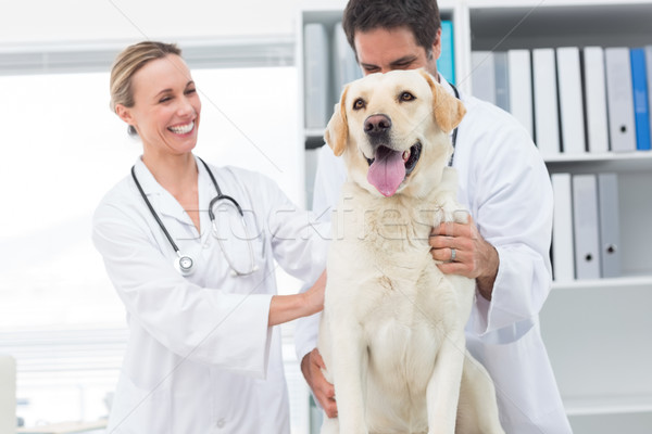 Onderzoeken hond gelukkig kliniek man werken Stockfoto © wavebreak_media