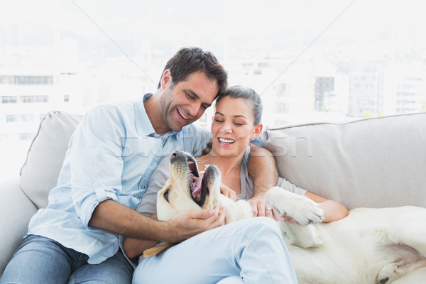 Happy couple petting their yellow labrador on the couch Stock photo © wavebreak_media