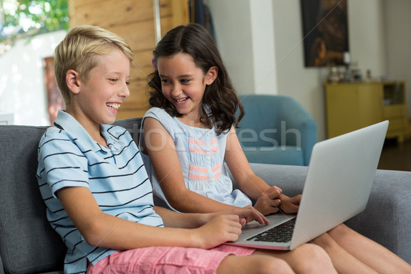 Mosolyog testvérek laptopot használ nappali otthon számítógép Stock fotó © wavebreak_media
