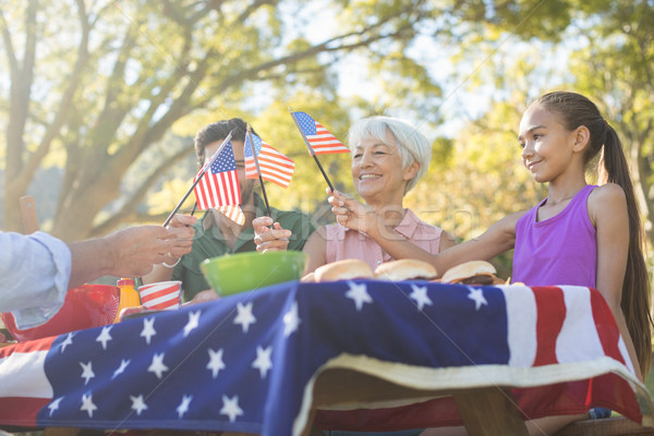 Család tart amerikai zászlók étel park Stock fotó © wavebreak_media