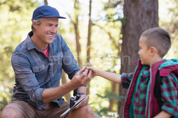 Boy giving pine cone to father in forest Stock photo © wavebreak_media